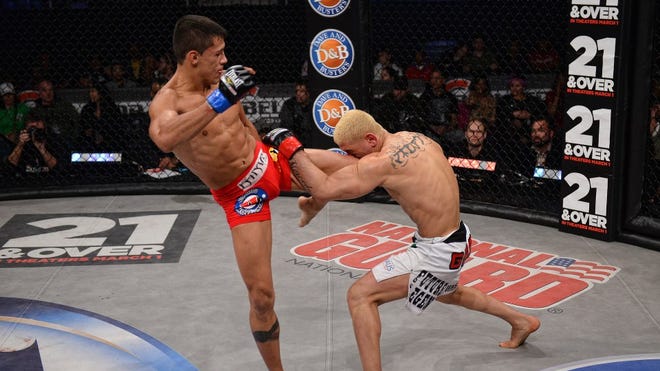 Dantas galvao.jpg